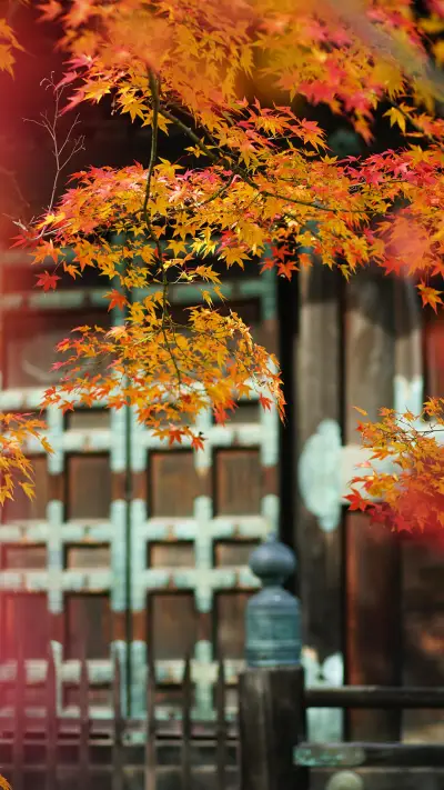 平和的内心穿透人生 - Screenshot 1