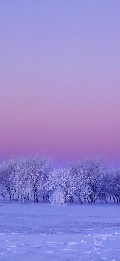 绝美雪景壁纸-锐景创意