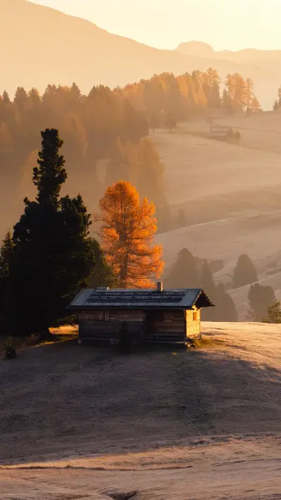 秋色风景-拍信创意