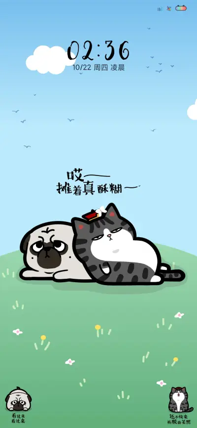 吾皇巴扎黑的小日子