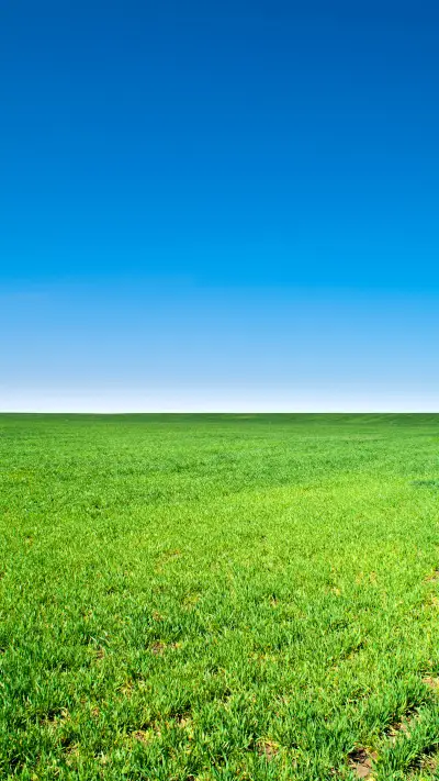 绿草蓝天-拍信图库 - Screenshot 1