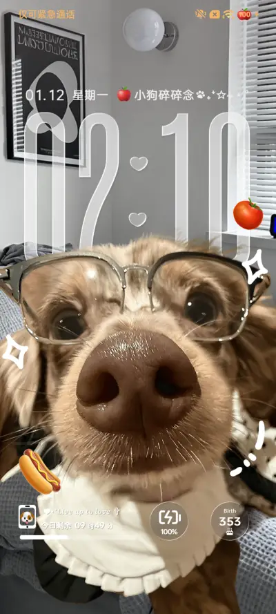 景深3D腊肠小可爱