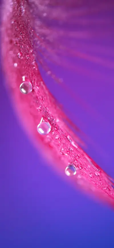 绚丽唯美壁纸-锐景创意 - Screenshot 1