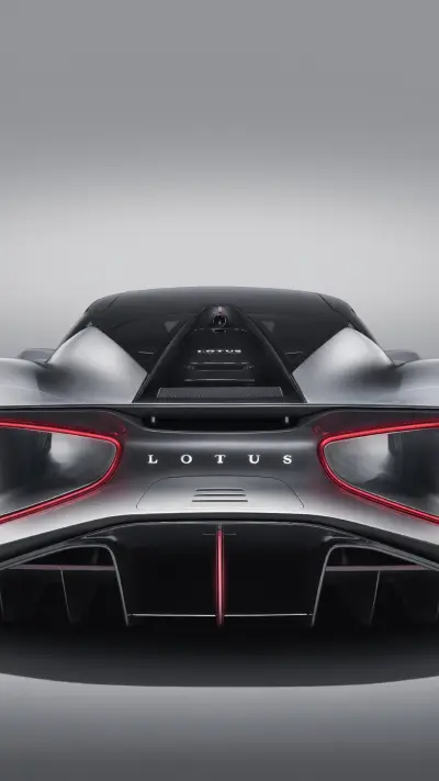 执着的“生命力”