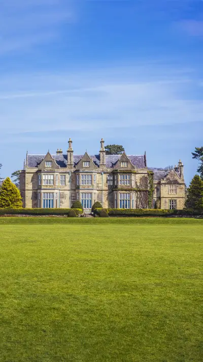 怦然心动爱尔兰 - Screenshot 1