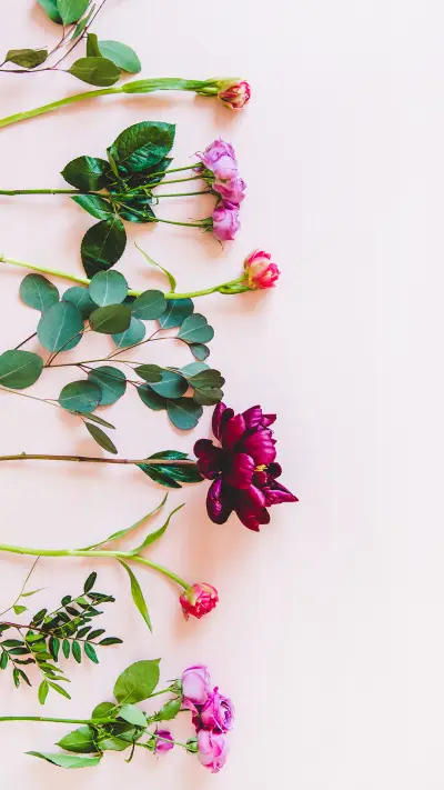 粉色系花卉-锐景创意 - Screenshot 1