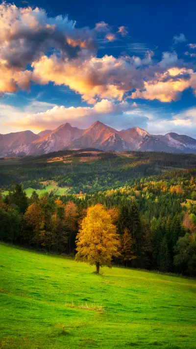 美丽风景-锐景创意