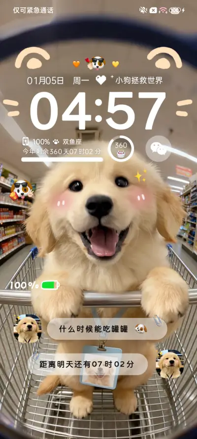 ins天选打工金毛 - Screenshot 3