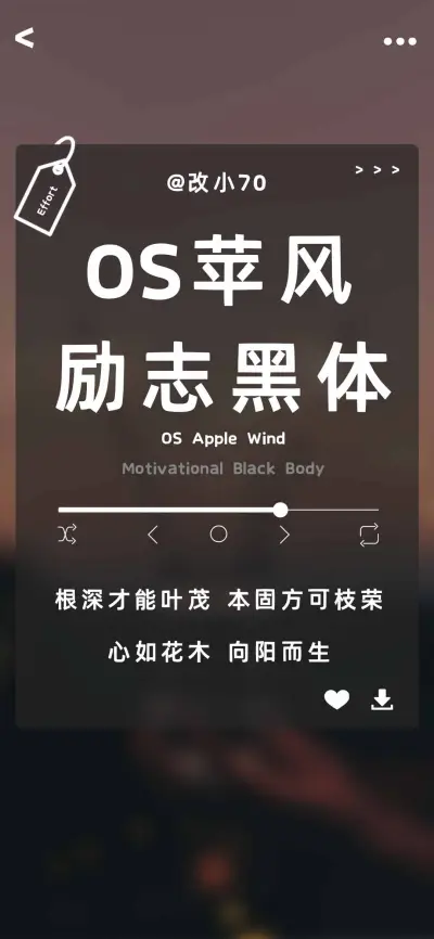 OS苹风励志黑体 - Screenshot 1