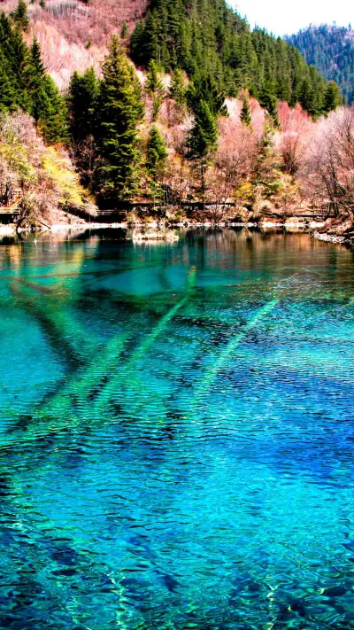 深彩境地-视觉中国 - Screenshot 1