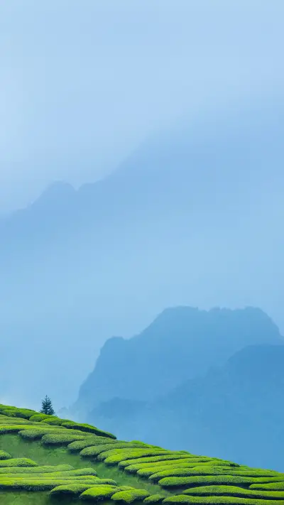 7月避暑旅行地推荐 - Screenshot 1