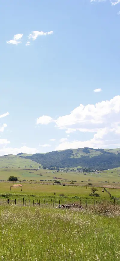 绿意之美-拍信图库