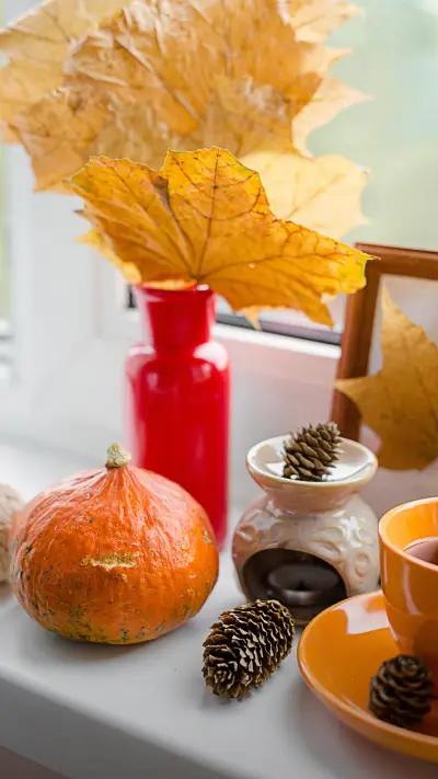 最好的年纪里遇见你