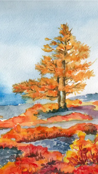 唯美插画-拍信图库