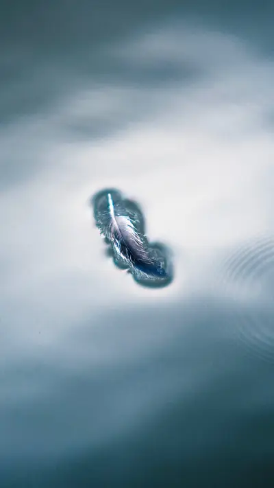 羽毛-【视觉中国】 - Screenshot 1