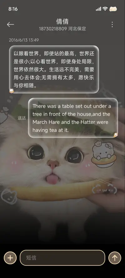 ins可爱汉堡小猫 - Screenshot 12