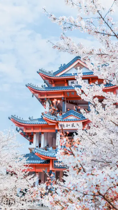 探索陌生的风景