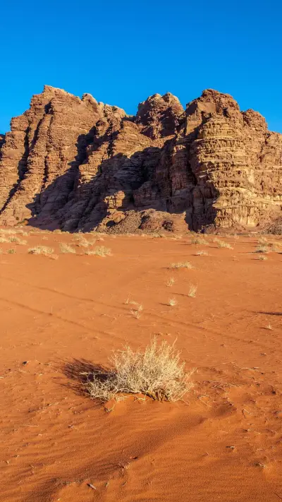 你是锦瑟 我是流年