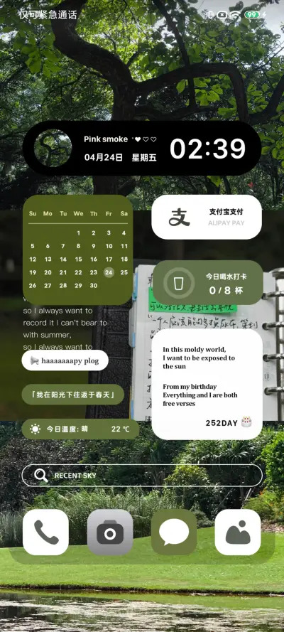Pro 自由的盛夏 - Screenshot 4