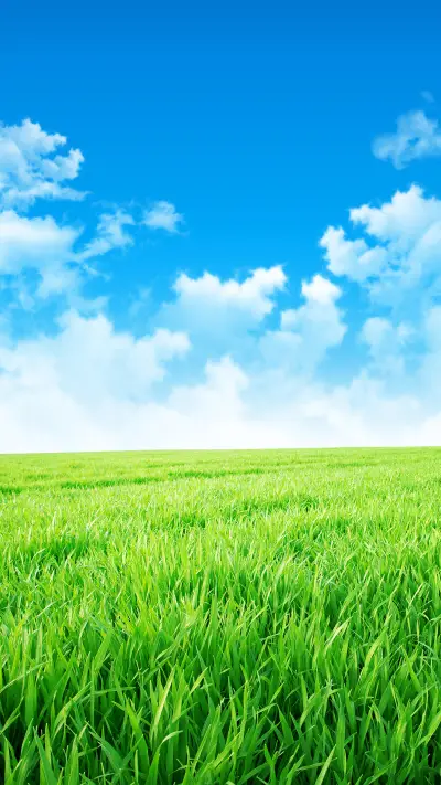 绿草蓝天-拍信图库