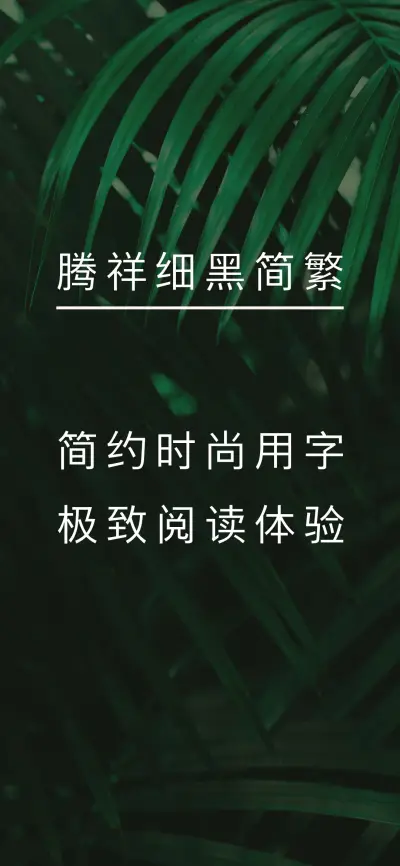 腾祥细黑简繁 - Screenshot 1