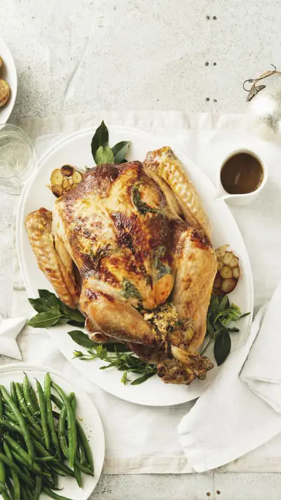 圣诞烤火鸡 - Screenshot 1