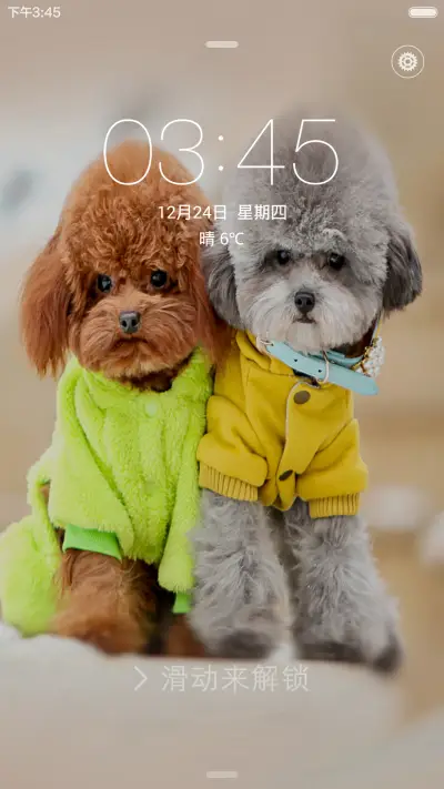 旺旺狗