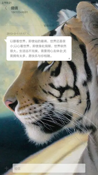 无敌猛虎 - Screenshot 8