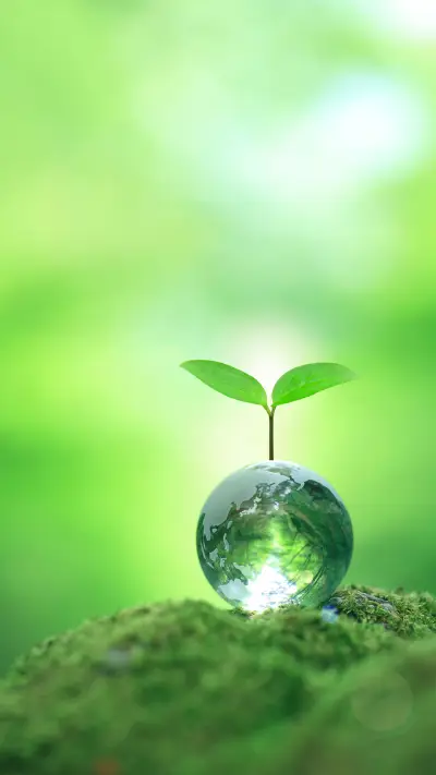 美景5 - Screenshot 1