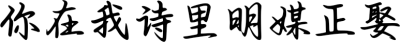 你在我诗里明媒正娶