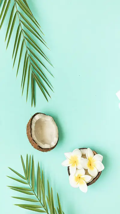 清爽一夏-拍信图库