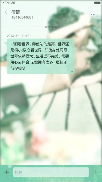 咱们结婚吧pro(超酷炫动态锁屏+自由桌面+全图标) - Screenshot 11