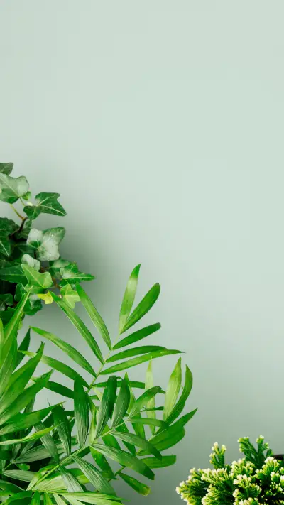 绿色护眼-锐景创意