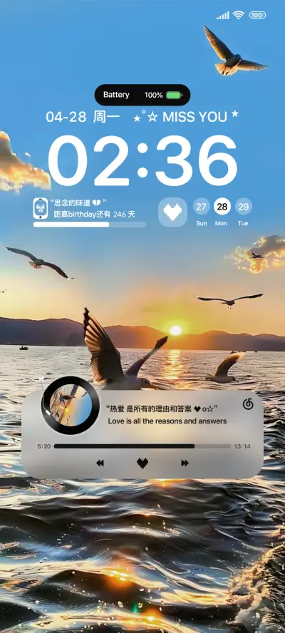 Ins落日与海鸥 THEME for Xiaomi MIUI HyperOS