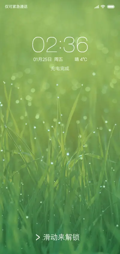 简の绿