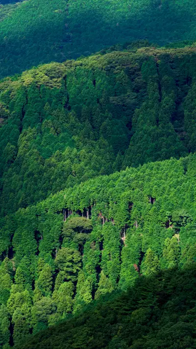 初见伊豆 盛夏的风物诗 - Screenshot 1