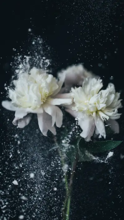 唯美植物-视觉中国