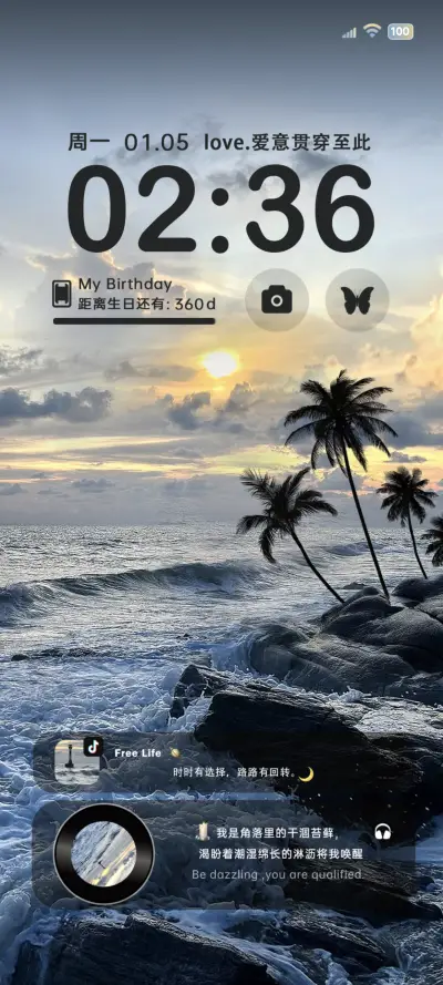 INS璀璨流光椰林