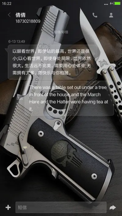 枪械欣赏（自由桌面+全图标） - Screenshot 11