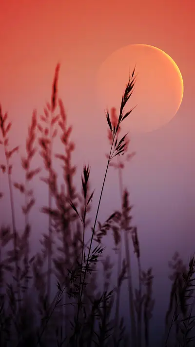 唯美风景-拍信图库