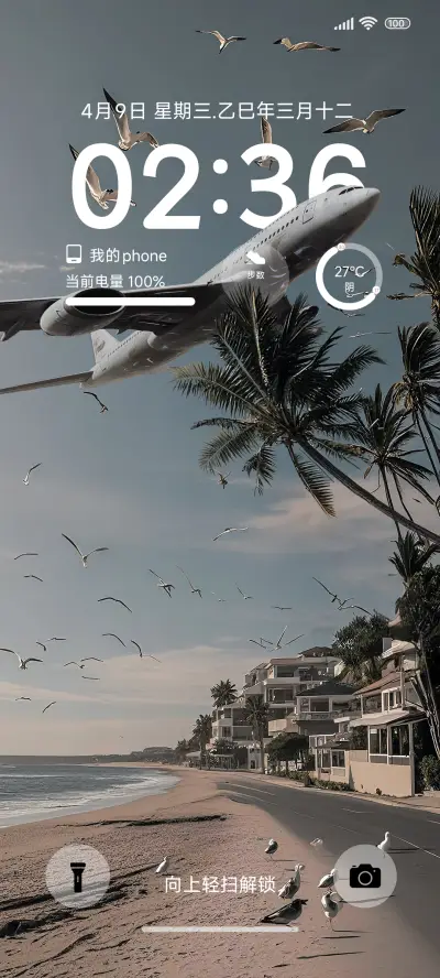 澎湃景深 海鸥与海