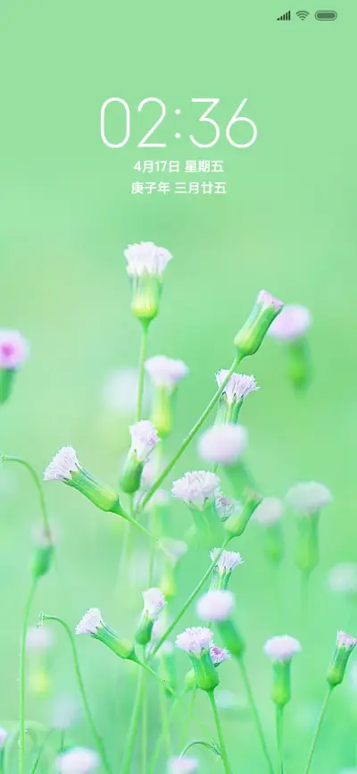清新花开 - Screenshot 1
