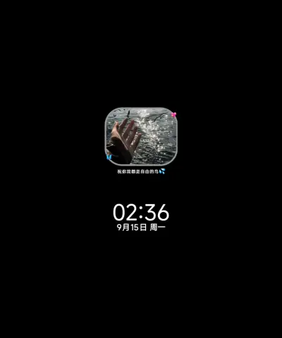 氛围感自由的海鸥