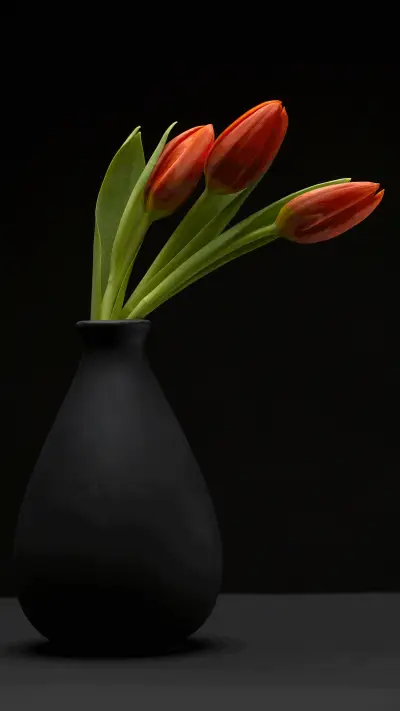 植物静物-拍信图库