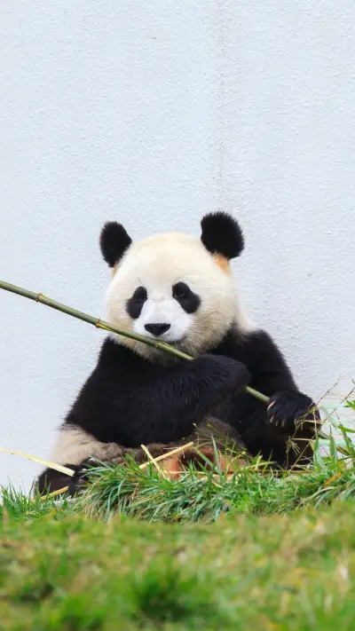 全国首例：横跨三省的国家公园