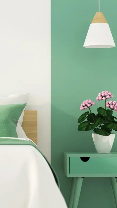 摩登一抹草木绿