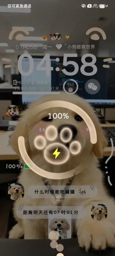 ins天选打工金毛 - Screenshot 7