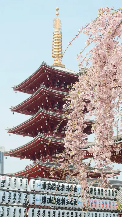 京都古朴风情好去处