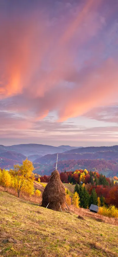 秋向此时分-拍信图库 - Screenshot 1