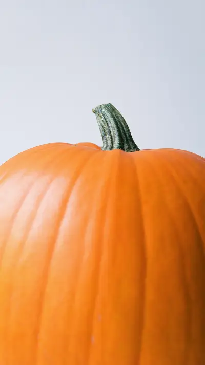 清新ins风-拍信图库